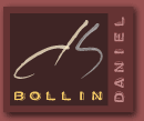 Daniel Bollin - Artiste peintre - Branson - Fully - Suisse